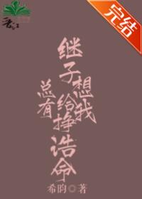总有继子想给我挣诰命
